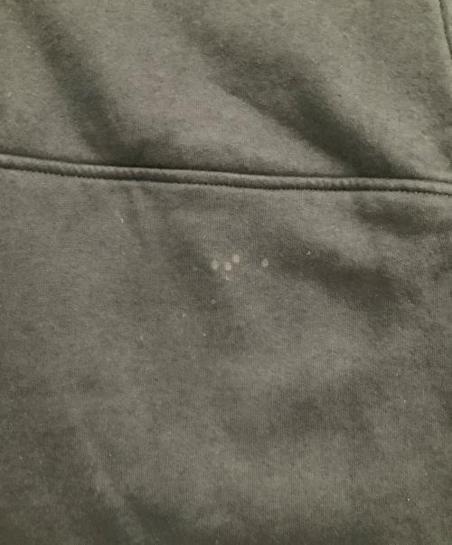 THE NORTH FACE（ザ ノース フェイス）THE NORTH FACE (ザ ノース フェイス) SUPREME (シュプリーム) 裏起毛スウェット　Steep Tech Hooded Sweatshirt ブラック サイズ:Lの古着・服飾アイテム