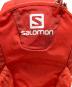 SALOMON (サロモン) デイパック レッド：6000円