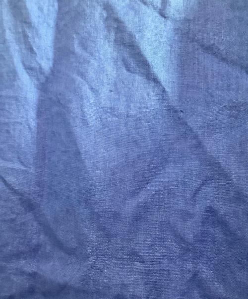 house of lotus（ハウスオブロータス）HOUSE OF LOTUS (ハウスオブロータス) ノースリーブブラウス ブルー サイズ:Mの古着・服飾アイテム