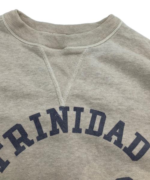 WAREHOUSE（ウエアハウス）WAREHOUSE (ウエアハウス) クルーネックスウェット　TRINIDAD ベージュ サイズ:42の古着・服飾アイテム