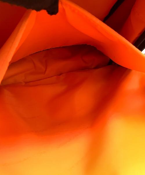 UDG（ユーディージー）UDG (ユーディージー) バックパックの古着・服飾アイテム