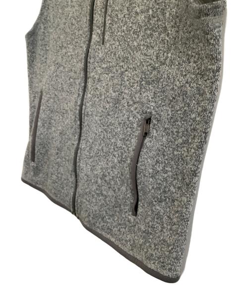 Patagonia（パタゴニア）Patagonia (パタゴニア) フリースベスト グレー サイズ:Lの古着・服飾アイテム