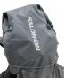 SALOMONの古着・服飾アイテム：10000円