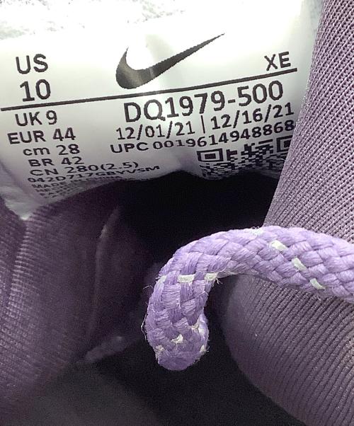 NIKE ACG（ナイキエーシージー）NIKE ACG (ナイキエーシージー) ローカットスニーカー MOUNTAIN FLY LOW SE パープル サイズ:28の古着・服飾アイテム
