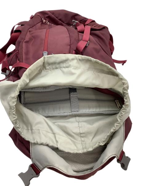 THE NORTH FACE（ザ ノース フェイス）THE NORTH FACE (ザ ノース フェイス) バックパック レッドの古着・服飾アイテム