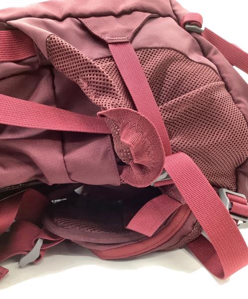 THE NORTH FACE（ザ ノース フェイス）THE NORTH FACE (ザ ノース フェイス) バックパック レッドの古着・服飾アイテム