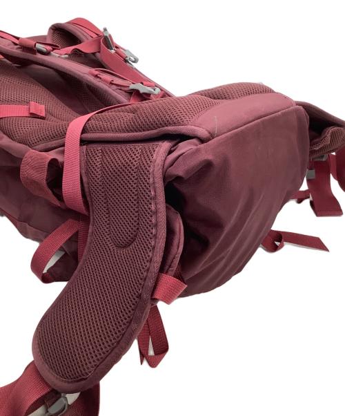 THE NORTH FACE（ザ ノース フェイス）THE NORTH FACE (ザ ノース フェイス) バックパック レッドの古着・服飾アイテム