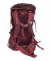 THE NORTH FACE (ザ ノース フェイス) バックパック レッド：6000円