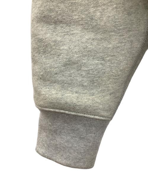 NIKE（ナイキ）NIKE (ナイキ) ACG (エーシージー) TF AIRORA FLEECE グレー サイズ:Mの古着・服飾アイテム