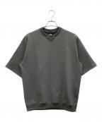 THE NORTH FACEザ ノース フェイス）の古着「半袖カットソー」｜グレー