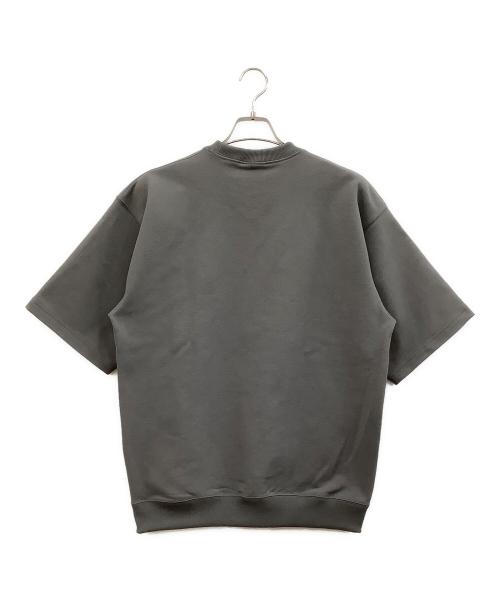 THE NORTH FACE（ザ ノース フェイス）THE NORTH FACE (ザ ノース フェイス) 半袖カットソー グレー サイズ:Mの古着・服飾アイテム