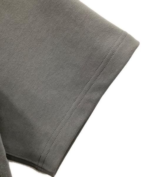 THE NORTH FACE（ザ ノース フェイス）THE NORTH FACE (ザ ノース フェイス) 半袖カットソー グレー サイズ:Mの古着・服飾アイテム