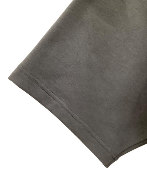 THE NORTH FACE（ザ ノース フェイス）THE NORTH FACE (ザ ノース フェイス) 半袖カットソー グレー サイズ:Mの古着・服飾アイテム