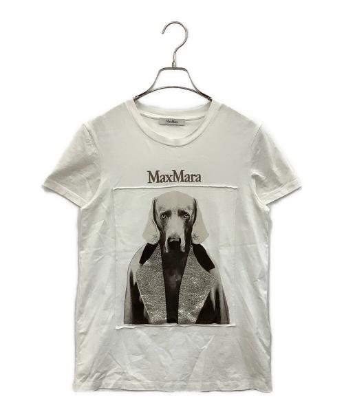 MaxMara（マックスマーラ）MaxMara (マックスマーラ) 半袖カットソー ホワイト サイズ:Sの古着・服飾アイテム