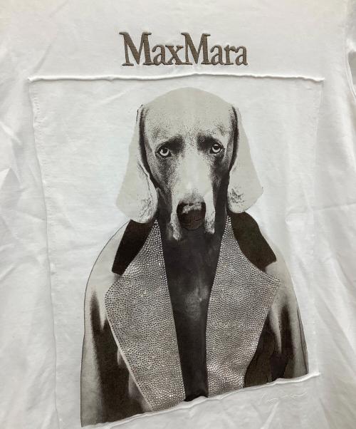 MaxMara（マックスマーラ）MaxMara (マックスマーラ) 半袖カットソー ホワイト サイズ:Sの古着・服飾アイテム