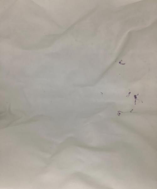 HEAD（ヘッド）HEAD (ヘッド) FS (フレッシュサービス) ショルダーバッグ ブラック サイズ:−の古着・服飾アイテム