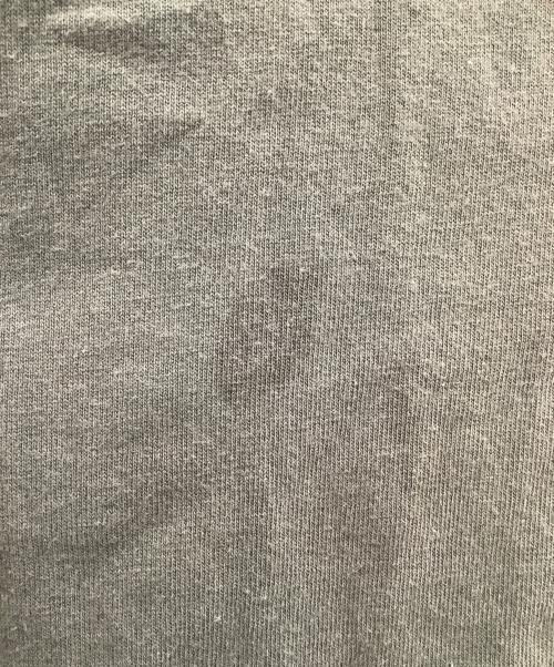 stussy（ステューシー）stussy (ステューシー) ドラゴンプリントTシャツ グレー サイズ:Mの古着・服飾アイテム