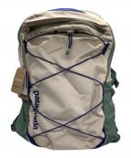 Patagoniaパタゴニア）の古着「リュック」