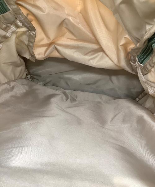 Patagonia（パタゴニア）Patagonia (パタゴニア) リュック サイズ:30Lの古着・服飾アイテム