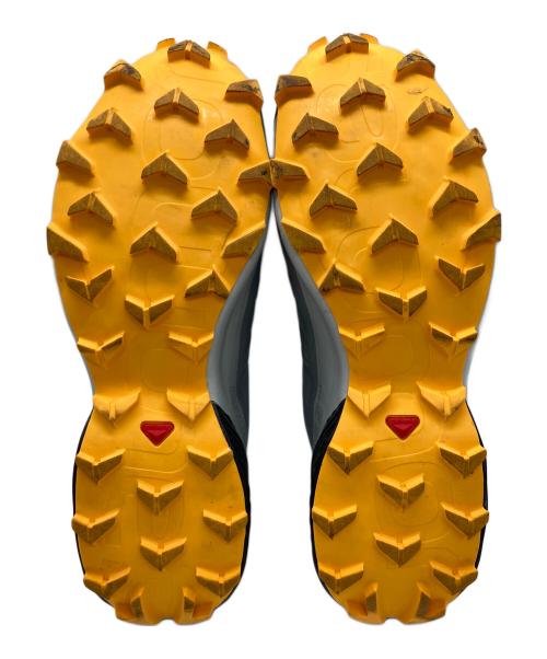 SALOMON（サロモン）SALOMON (サロモン) ローカットスニーカー グレー サイズ:27.5の古着・服飾アイテム