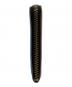 COMME des GARCONSの古着・服飾アイテム：8000円