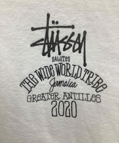 stussy（ステューシー）stussy (ステューシー) 半袖Tシャツ ホワイト サイズ:Lの古着・服飾アイテム
