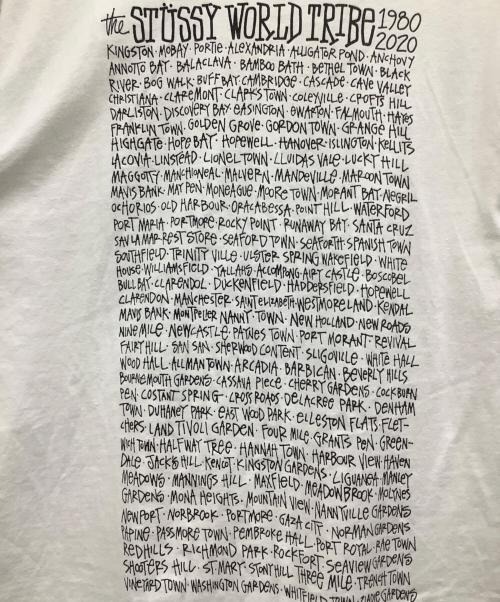 stussy（ステューシー）stussy (ステューシー) 半袖Tシャツ ホワイト サイズ:Lの古着・服飾アイテム