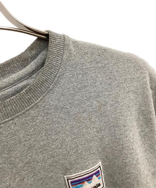 Patagonia（パタゴニア）Patagonia (パタゴニア) クルーネックスウェット グレー サイズ:Mの古着・服飾アイテム