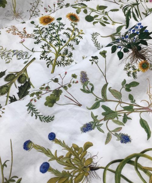 HAVERSACK（ハバーサック）HAVERSACK (ハバーサック) ボタニカルプリントワンピース サイズ:SIZE Freeの古着・服飾アイテム