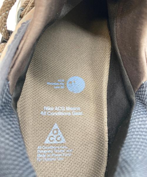 NIKE ACG（ナイキエーシージー）NIKE ACG (ナイキエージーシー) MOUNTAIN FLY LOW ブラウン サイズ:SIZE 27の古着・服飾アイテム