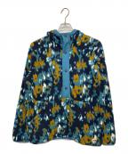 THE NORTH FACEザ ノース フェイス）の古着「CARBONDALE HOODIE」｜ネイビー