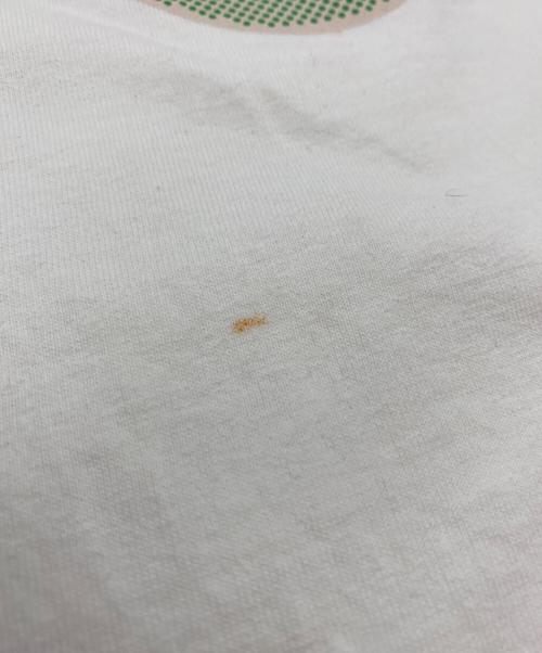 stussy（ステューシー）stussy (ステューシー) 半袖シャツ ホワイト サイズ:SIZE Lの古着・服飾アイテム