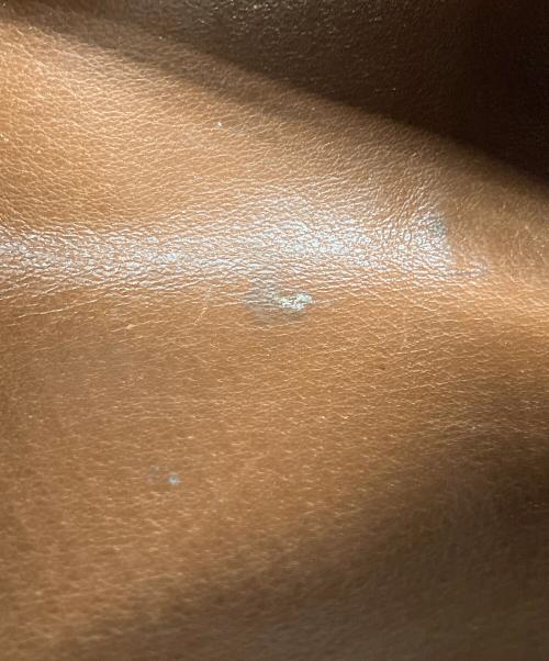 LOUIS VUITTON（ルイ ヴィトン）LOUIS VUITTON (ルイ ヴィトン) パピヨン26 ブラウンの古着・服飾アイテム