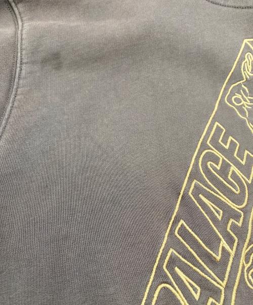 PALACE（パレス）PALACE (パレス) TRI-ARCHAEOLOGY HOOD ブラウン サイズ:SIZE UK Lの古着・服飾アイテム