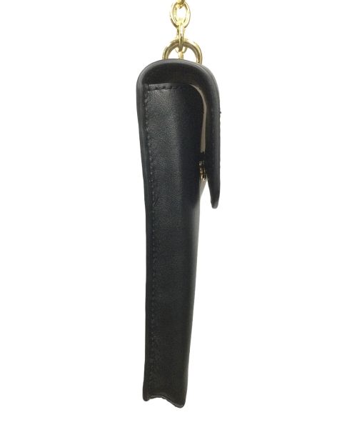 RLL（ローレンラルフローレン）RLL (ローレンラルフローレン) クロスボディスマホショルダーバッグ ブラックの古着・服飾アイテム