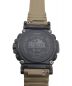CASIO (カシオ) プロトレック ブラウン×ブラック：30000円