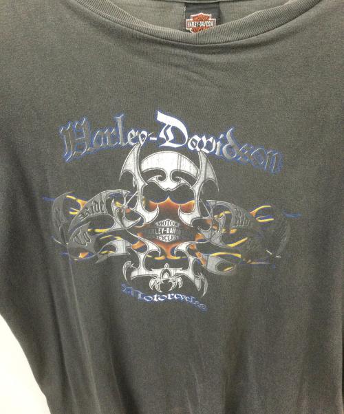 HARLEY-DAVIDSON（ハーレーダビッドソン）HARLEY-DAVIDSON (ハーレーダビッドソン) 半袖カットソー HOLOUBEK グレー サイズ:XLの古着・服飾アイテム