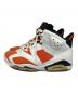 NIKE (ナイキ) Nike Air Jordan 6 Retro 