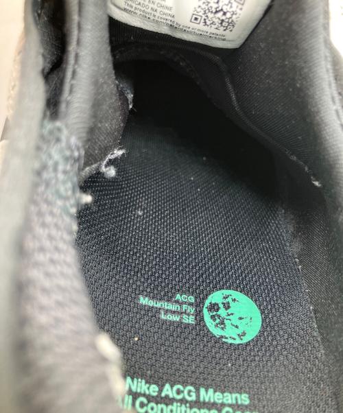 NIKE（ナイキ）NIKE (ナイキ) Nike ACG Mountain Fly Low SE 