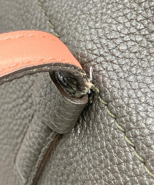 Salvatore Ferragamo（サルヴァトーレ フェラガモ）Salvatore Ferragamo (サルヴァトーレ フェラガモ) ガンチーニトートバッグ ブラウン×ピンクの古着・服飾アイテム