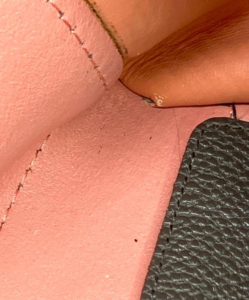 Salvatore Ferragamo（サルヴァトーレ フェラガモ）Salvatore Ferragamo (サルヴァトーレ フェラガモ) ガンチーニトートバッグ ブラウン×ピンクの古着・服飾アイテム