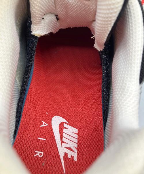 NIKE（ナイキ）NIKE (ナイキ) Air Max 95 グレー サイズ:28の古着・服飾アイテム