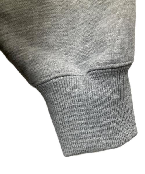 THE NORTH FACE（ザ ノース フェイス）THE NORTH FACE (ザ ノース フェイス) BIG HOODIE グレー サイズ:Lの古着・服飾アイテム