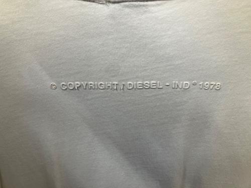 DIESEL（ディーゼル）DIESEL (ディーゼル) プリントTシャツ ホワイト ホワイト サイズ:Lの古着・服飾アイテム