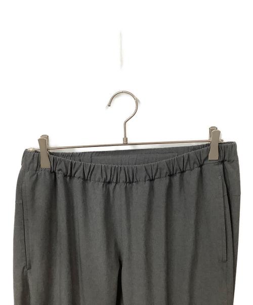 THE NORTH FACE（ザ ノース フェイス）THE NORTH FACE (ザ ノース フェイス) Flexible Ankle Pant グレー サイズ:Ｌの古着・服飾アイテム