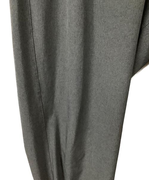 THE NORTH FACE（ザ ノース フェイス）THE NORTH FACE (ザ ノース フェイス) Flexible Ankle Pant グレー サイズ:Ｌの古着・服飾アイテム