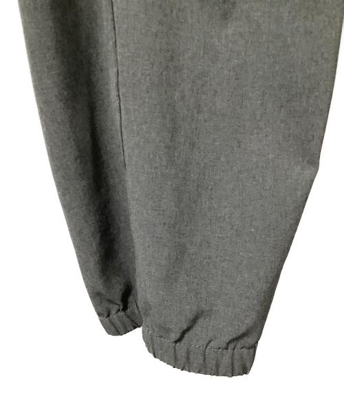 THE NORTH FACE（ザ ノース フェイス）THE NORTH FACE (ザ ノース フェイス) Flexible Ankle Pant グレー サイズ:Ｌの古着・服飾アイテム