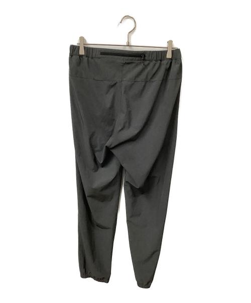 THE NORTH FACE（ザ ノース フェイス）THE NORTH FACE (ザ ノース フェイス) Flexible Ankle Pant グレー サイズ:Ｌの古着・服飾アイテム