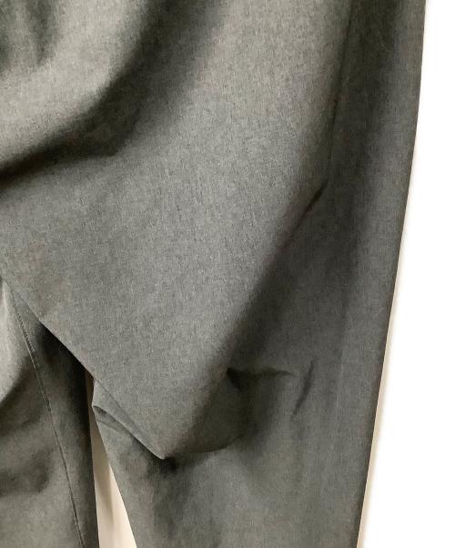 THE NORTH FACE（ザ ノース フェイス）THE NORTH FACE (ザ ノース フェイス) Flexible Ankle Pant グレー サイズ:Ｌの古着・服飾アイテム