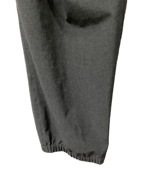 THE NORTH FACE（ザ ノース フェイス）THE NORTH FACE (ザ ノース フェイス) Flexible Ankle Pant グレー サイズ:Ｌの古着・服飾アイテム